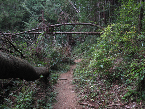 20161007hike (213)